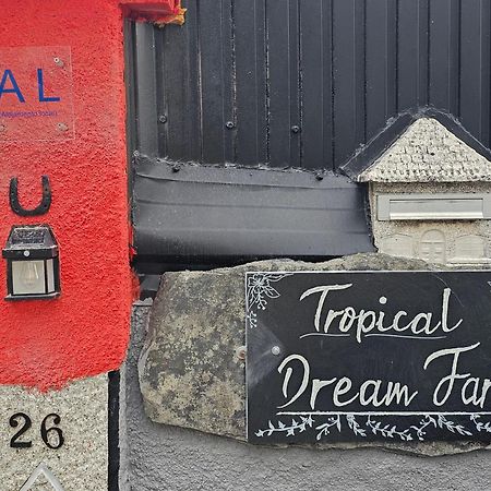 Tropical Dream Farm Hotel Vouzela Eksteriør billede